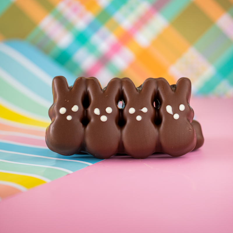 Chocolate marsmallow bunnies on pink and plaid background.